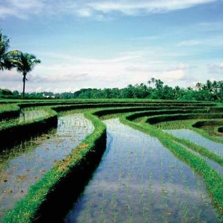 Rundreise Faszinierendes Bali