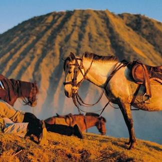 Rundreise Ostjava Bali, Bali Rundreisen, Bali Reiseangebote